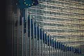 EU flags